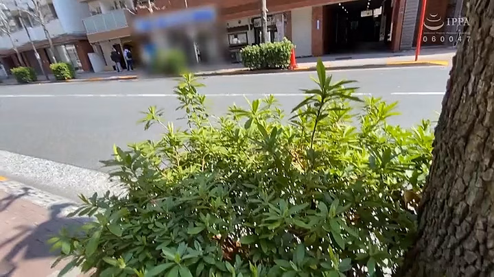 siroto-mituketa.com (仮)暗黒061さん 画像 1