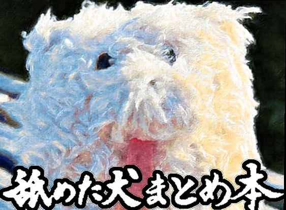 【エロ同人】舐めた犬まとめ本(舐めた犬) | まるで自分が舐め犬になったような没入感！「舐めた犬まとめ本」レビュー【クーポンで無料】